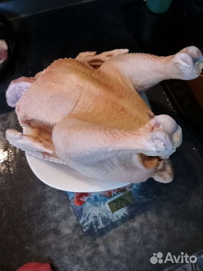 Мясо домашнего бройлера