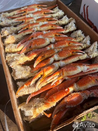 Клешни краба стригуна