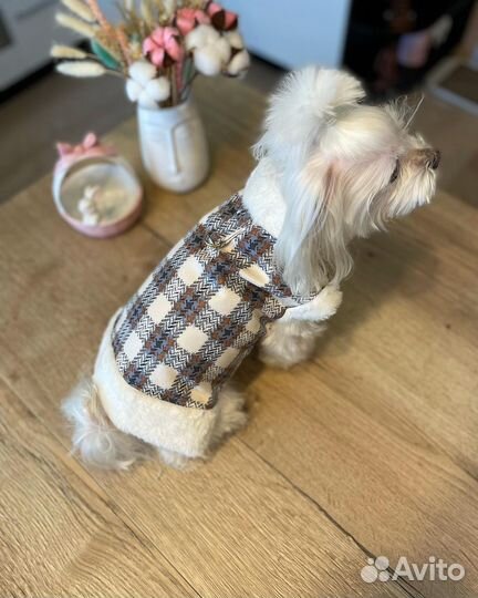 Жилетки теплые для собак