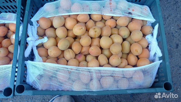 Фрукты, овощи свежие