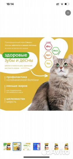 Корм для кошек сухой Formula Natural