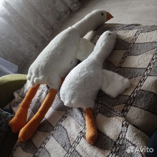 Гусь обнимусь