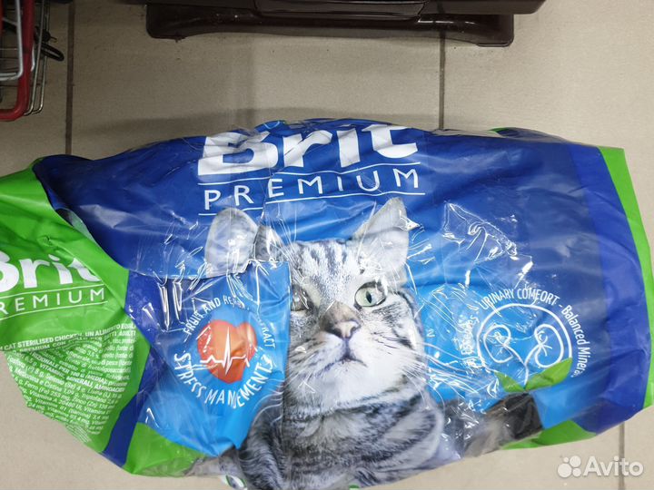 Корм для кошек