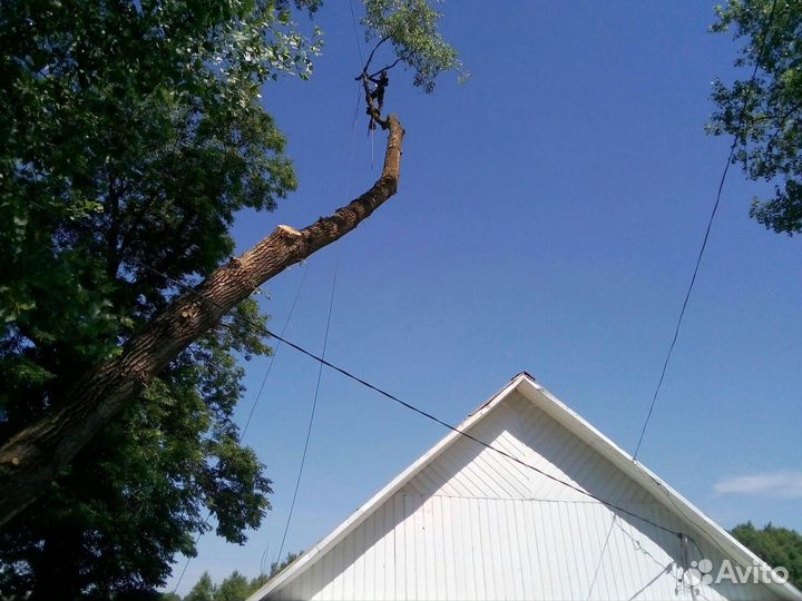 Спиливание аварийных деревьев, кронирование