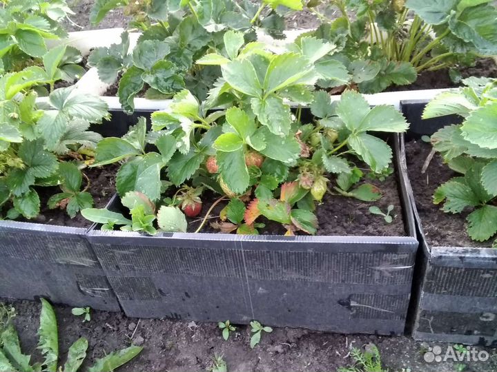 Ящики мини грядки