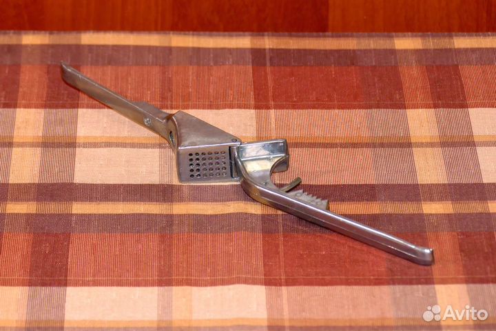 Чесночница СССР большая и увесистая