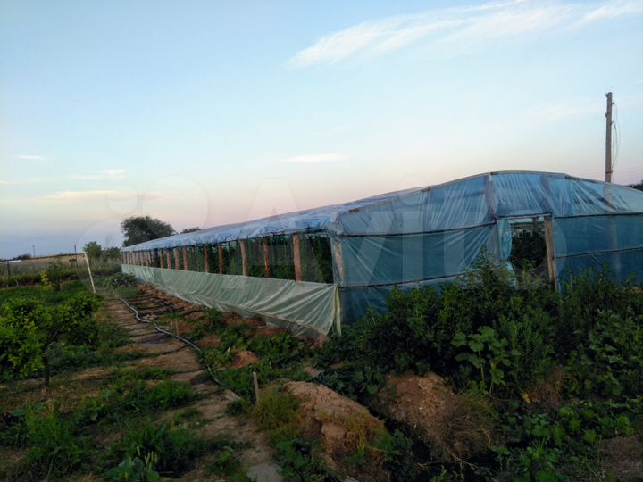 Дом 50 м² на участке 50 сот.