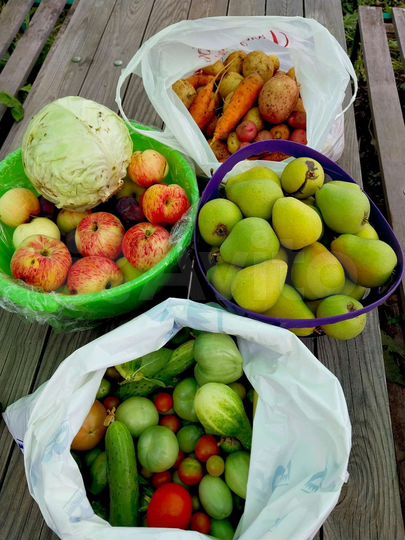 Дача 10 м² на участке 5 сот.