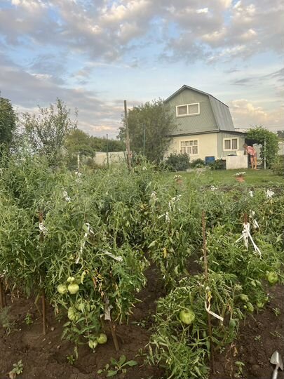 Дача 50 м² на участке 5 сот.