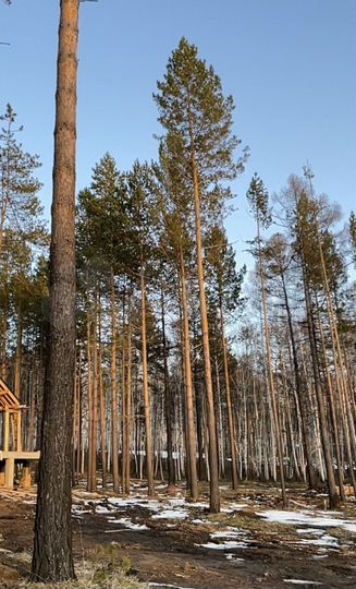 Участок 5 сот. (ИЖС)