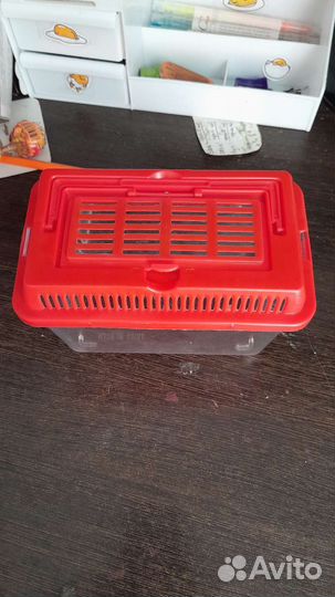 Террариум для рептилий