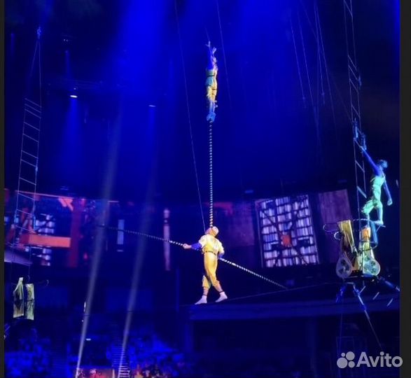 Настоящие Билеты в Цирк Вернадского