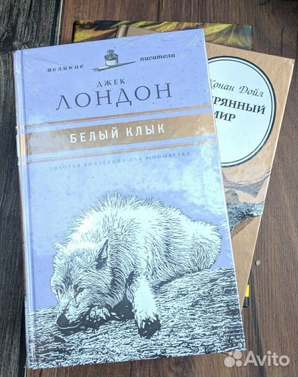 Книги в ассортименте