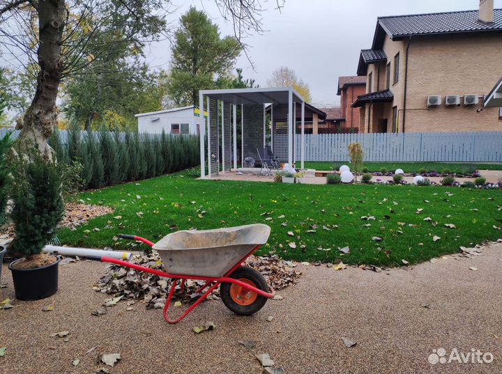 Рулонный газон 3-х летний