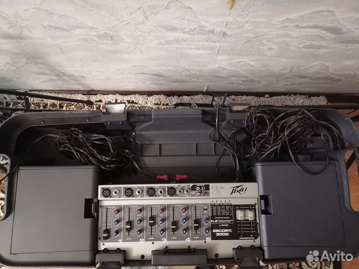 Escort 3000 portable audio system