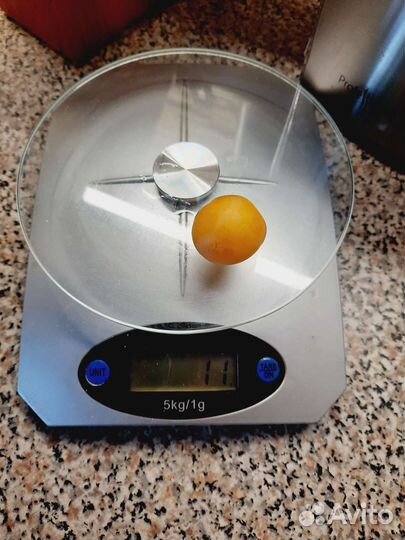 Саженцы алычи