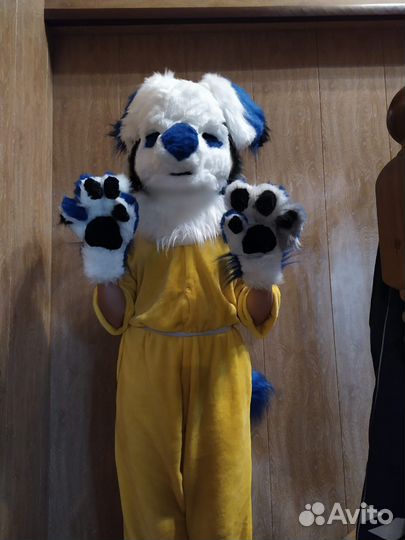 Фурсьют монокит