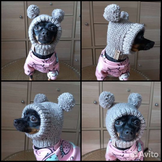 Шапочка для маленьких собак и кошек