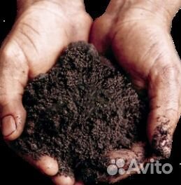 Плодородный грунт