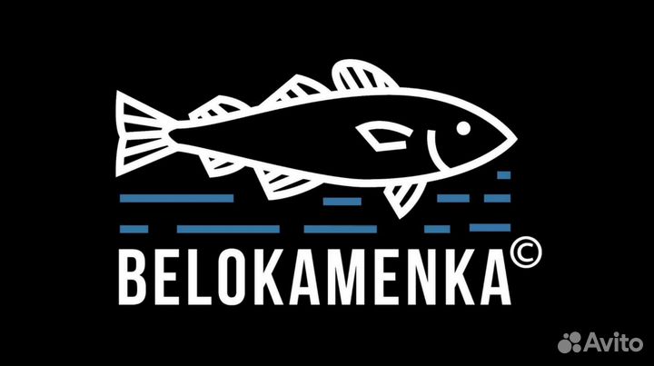 Стейк форели