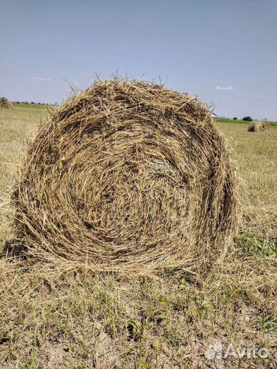 Сено,просо