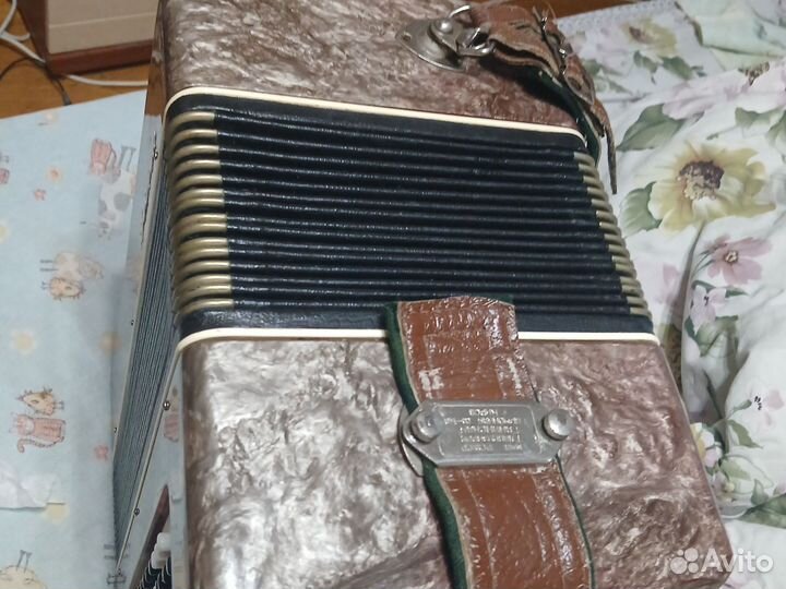 Полу баян восток