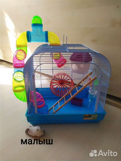 Джунгарский хомяк, клетка