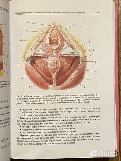 Акушерство Радзинский