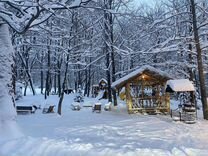 Алг сумма. Алг сумма цел n s арг n рез s нач s. Химия 8 класс формулы и единицы измерения. Тест степени с целым показателем 7 класс. М п целых.