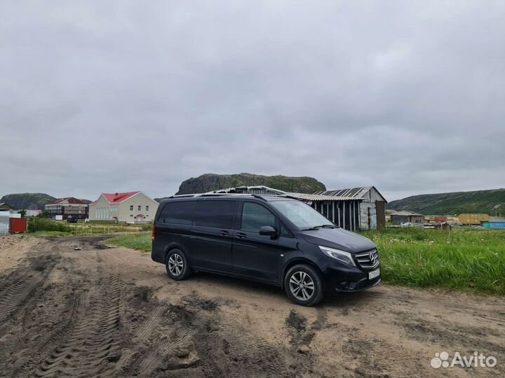 Тур в Териберку