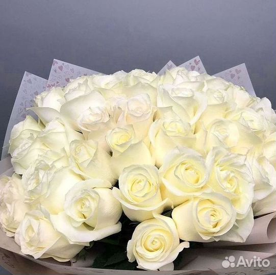 Высокие Розы Гиганты Доставка Круглосуточно