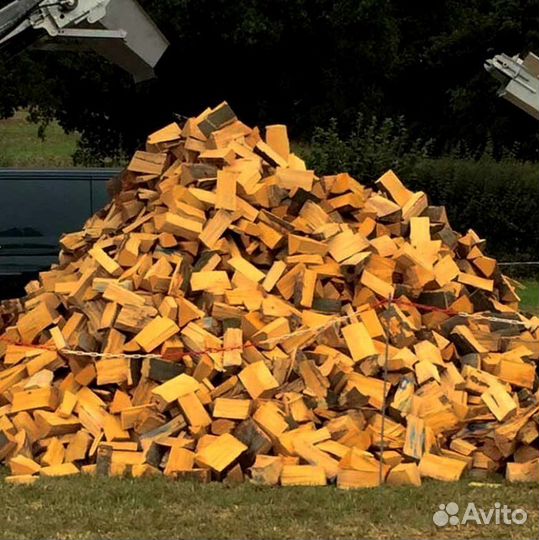 Дрова без плесени