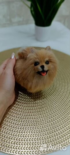 Мопс из шерсти