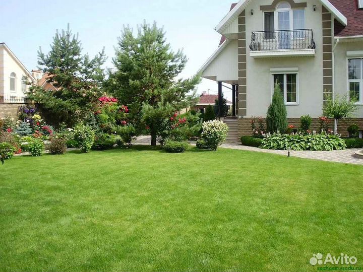 Рулонный газон от производителя