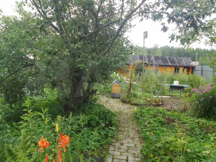 Дача 60 м² на участке 6 сот.