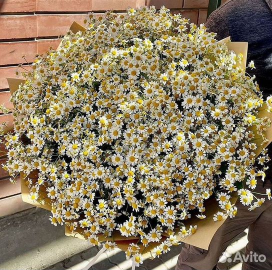 Букеты. Доставка ромашек