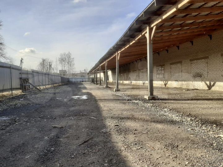 Пищевое производство 1 137 м. кв