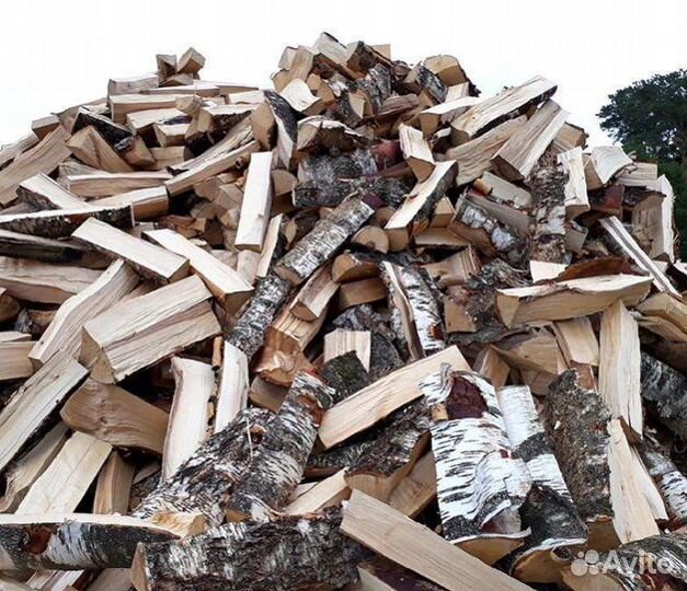Дрова колотые береза