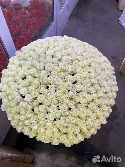 301 роза на корзина