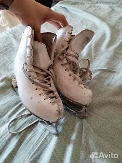 Коньки фигурные edea overture 205