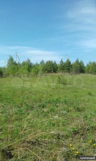 Участок 22 сот. (СНТ, ДНП)