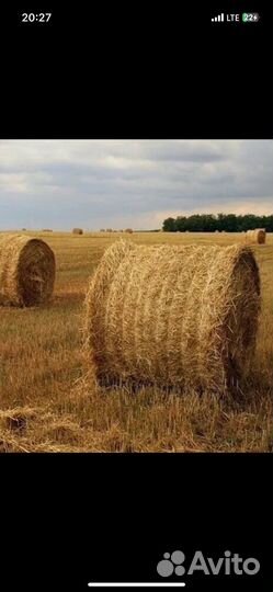 Солома в рулонах