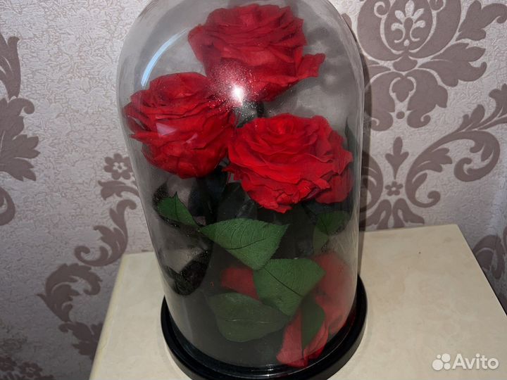 Вечная роза в колбе