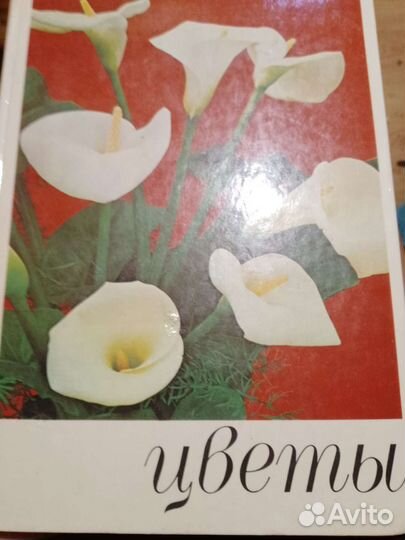 Книга цветы