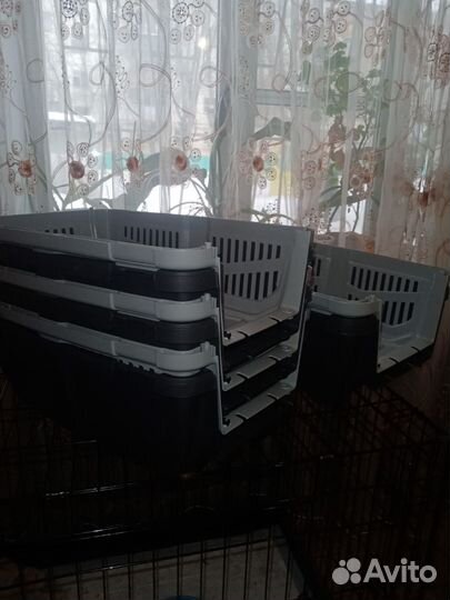 Переноска Скудо 1; 2; 3 ; Продажа ; Аренда