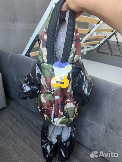 Одежда для собак