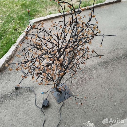 Светящееся дерево