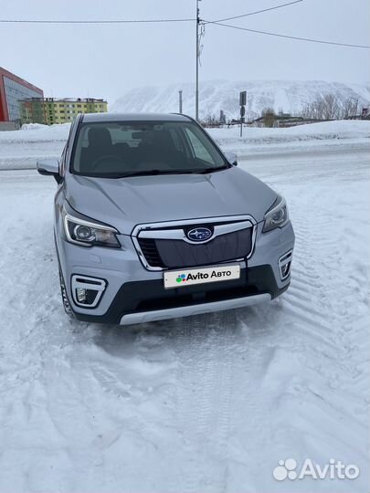 Subaru Forester 2.0 CVT, 2019, 55 000 км