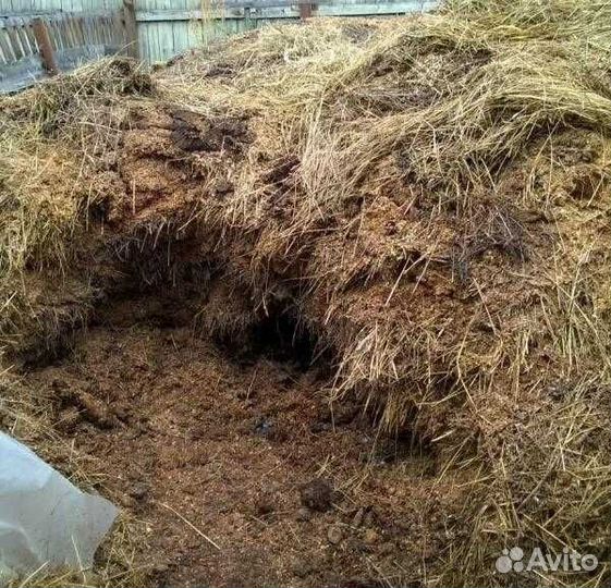 Навоз бесплатно