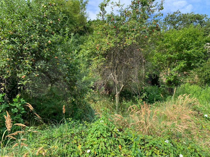 Участок 4 сот. (ИЖС)